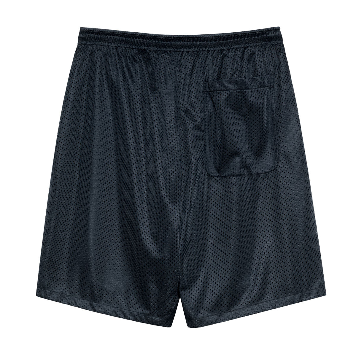 Polar Ray Shorts - Navy image 2