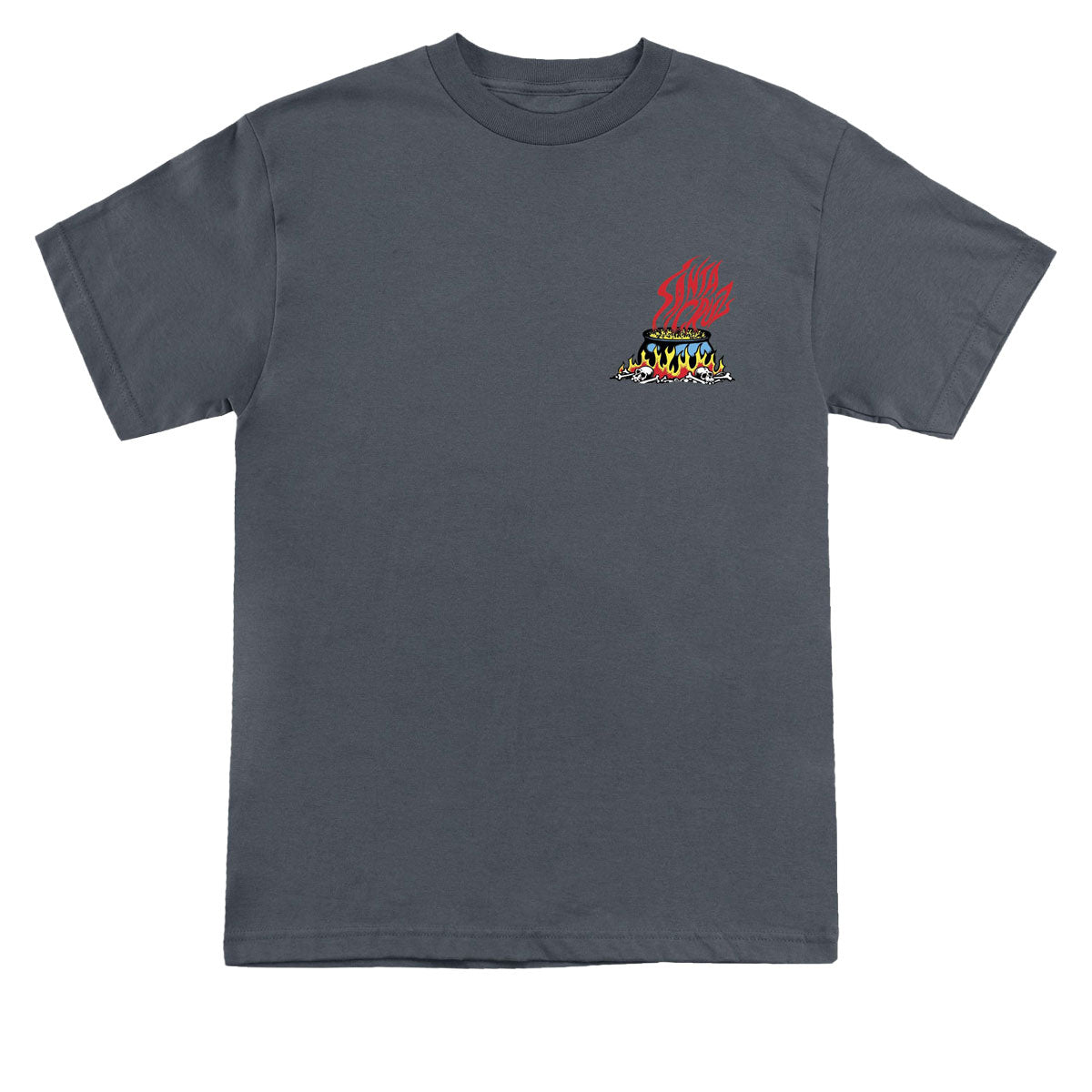 Santa Cruz Salba Voodoo Frame T-Shirt - Charcoal image 2