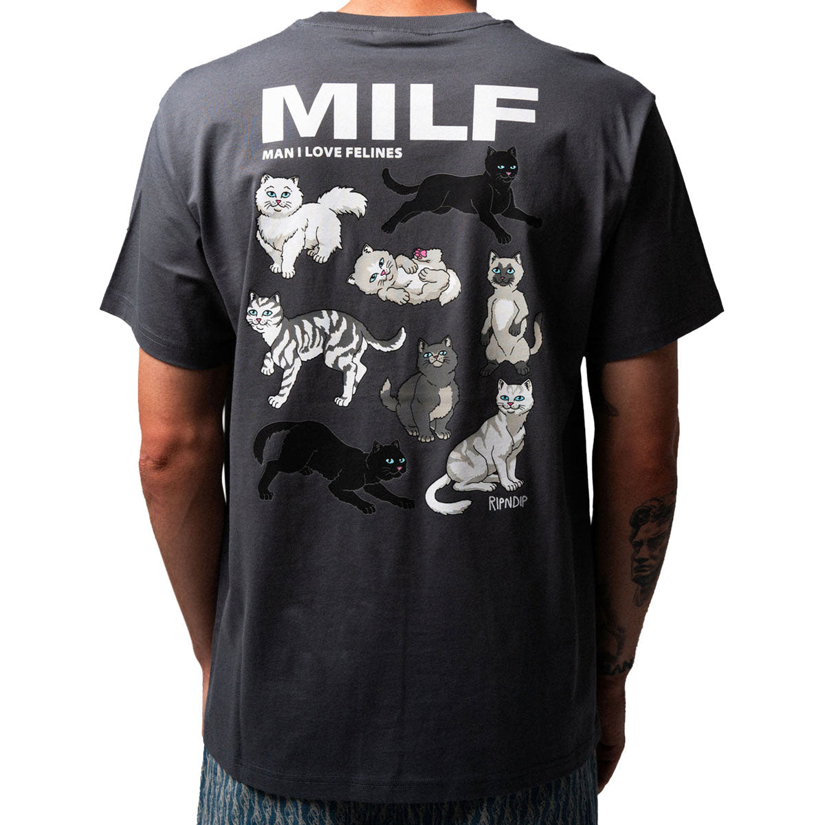 RIPNDIP Man I Love Felines T-Shirt - Charcoal II image 4