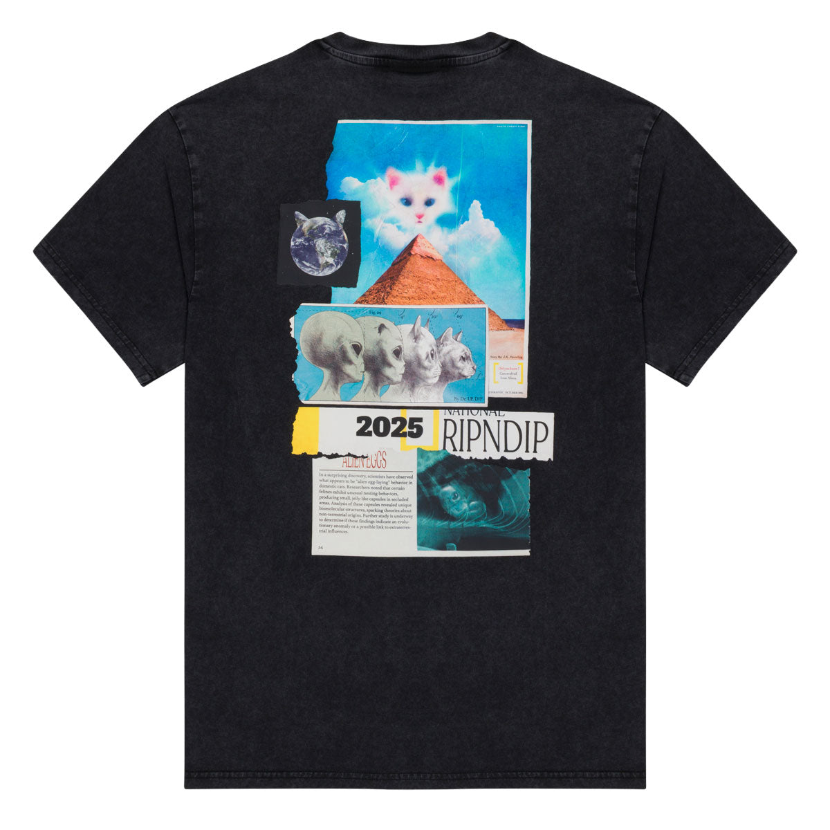 RIPNDIP Nerm Geo T-Shirt - Black Vintage Wash image 2