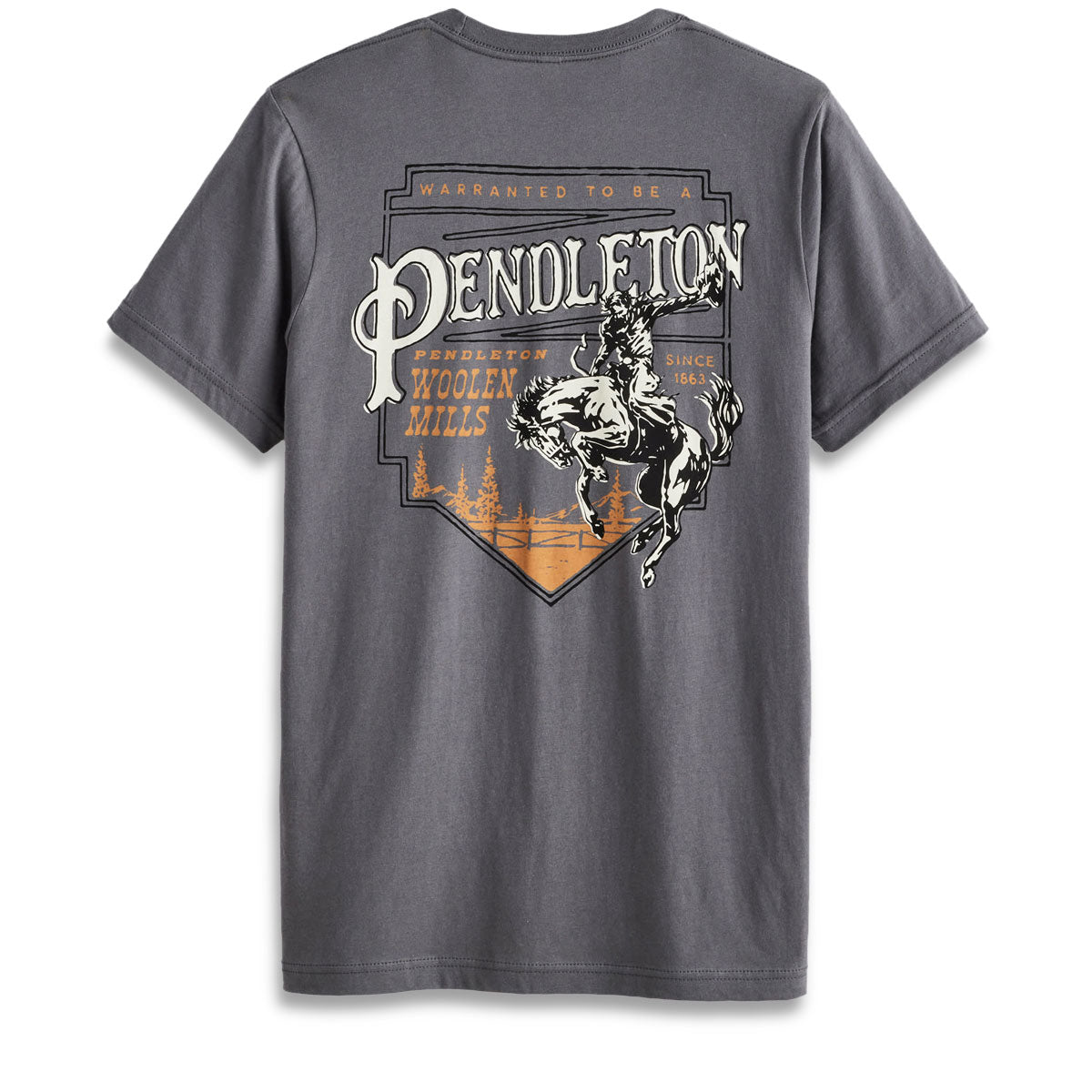 Pendleton Rodeo Plaque T-Shirt - Asphalt/White image 1