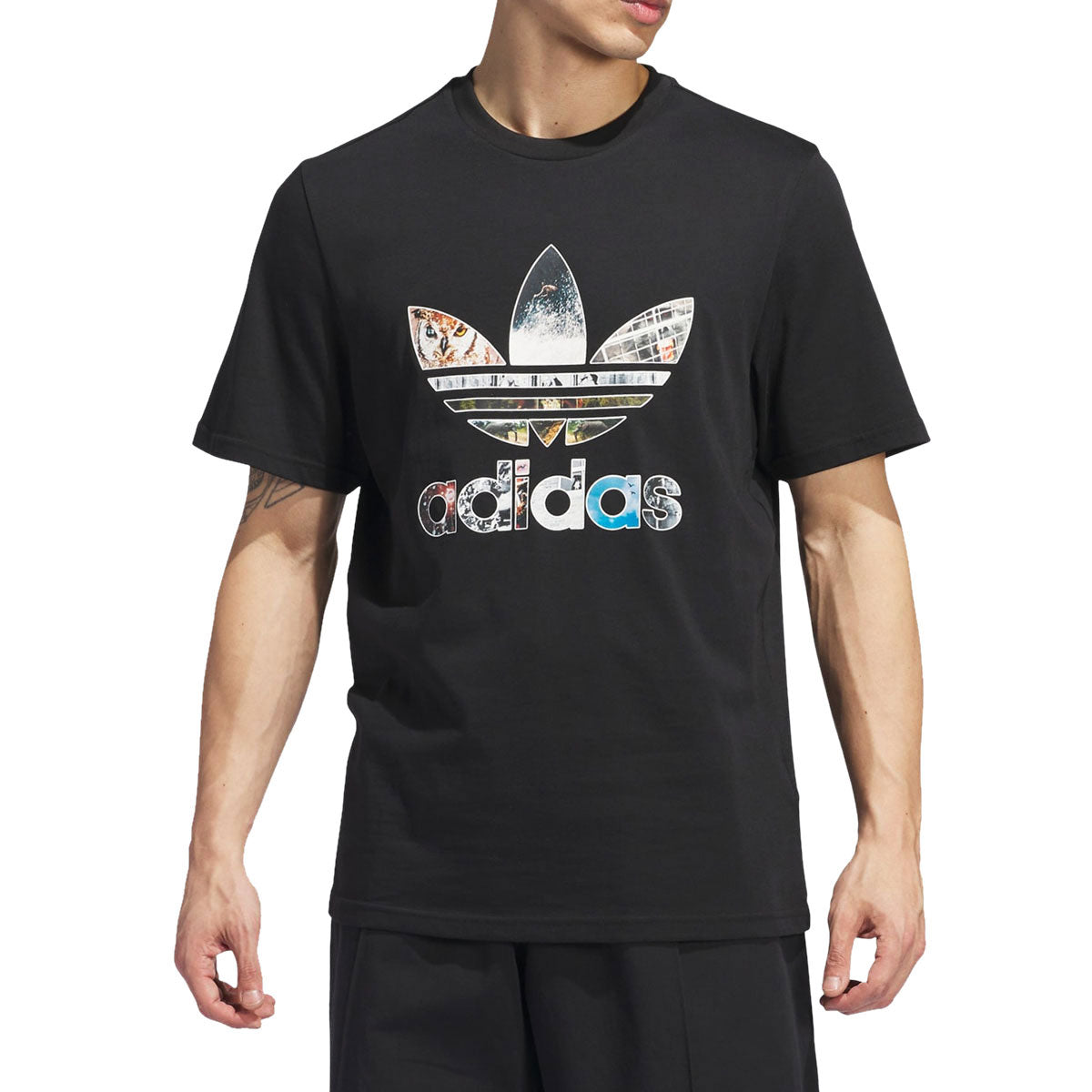 Adidas Dill Trefoil T-Shirt - Black image 2