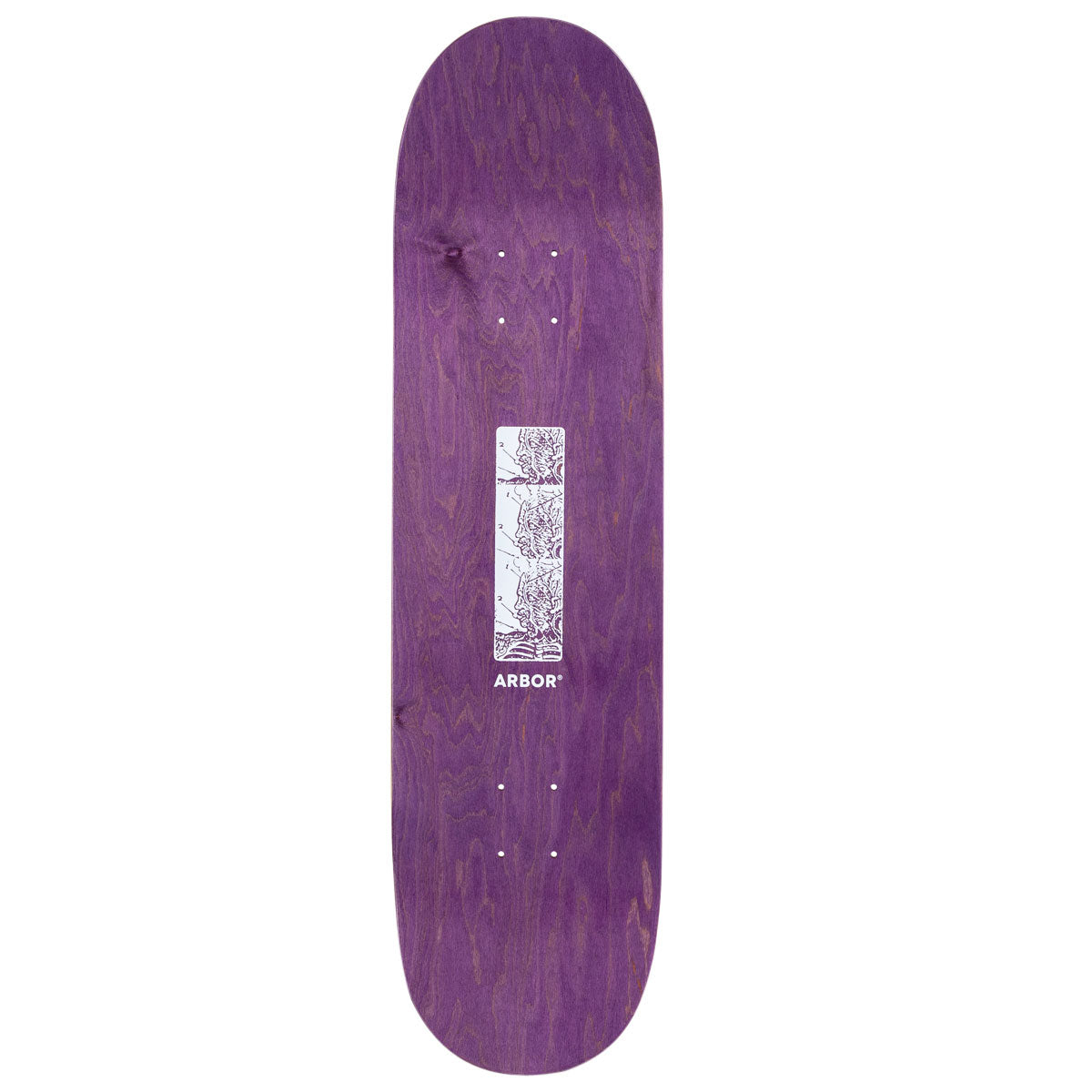 Arbor Ace Pelka Anatomy Skateboard Complete - 8.50