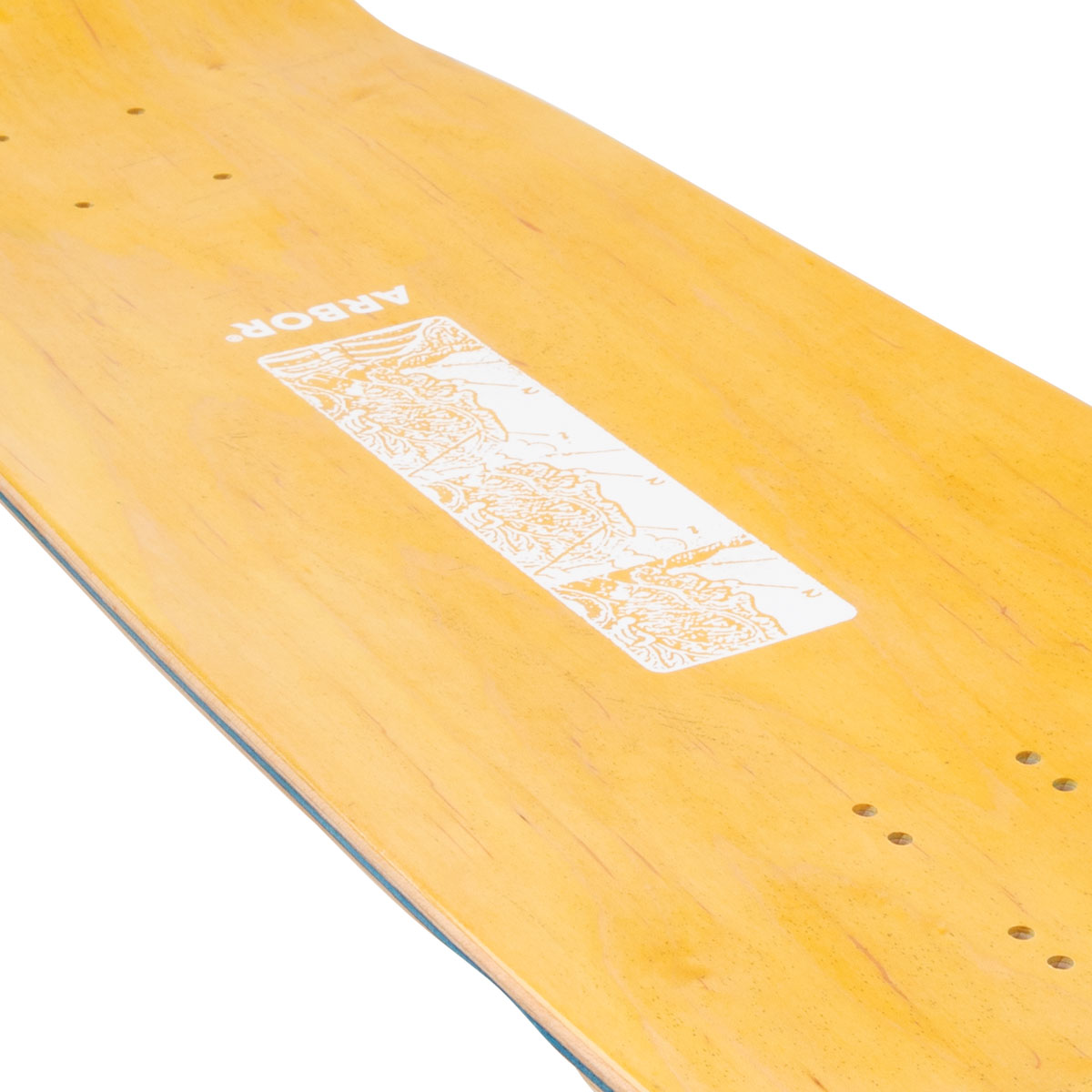 Arbor Ace Pelka Anatomy Skateboard Complete - 9.75
