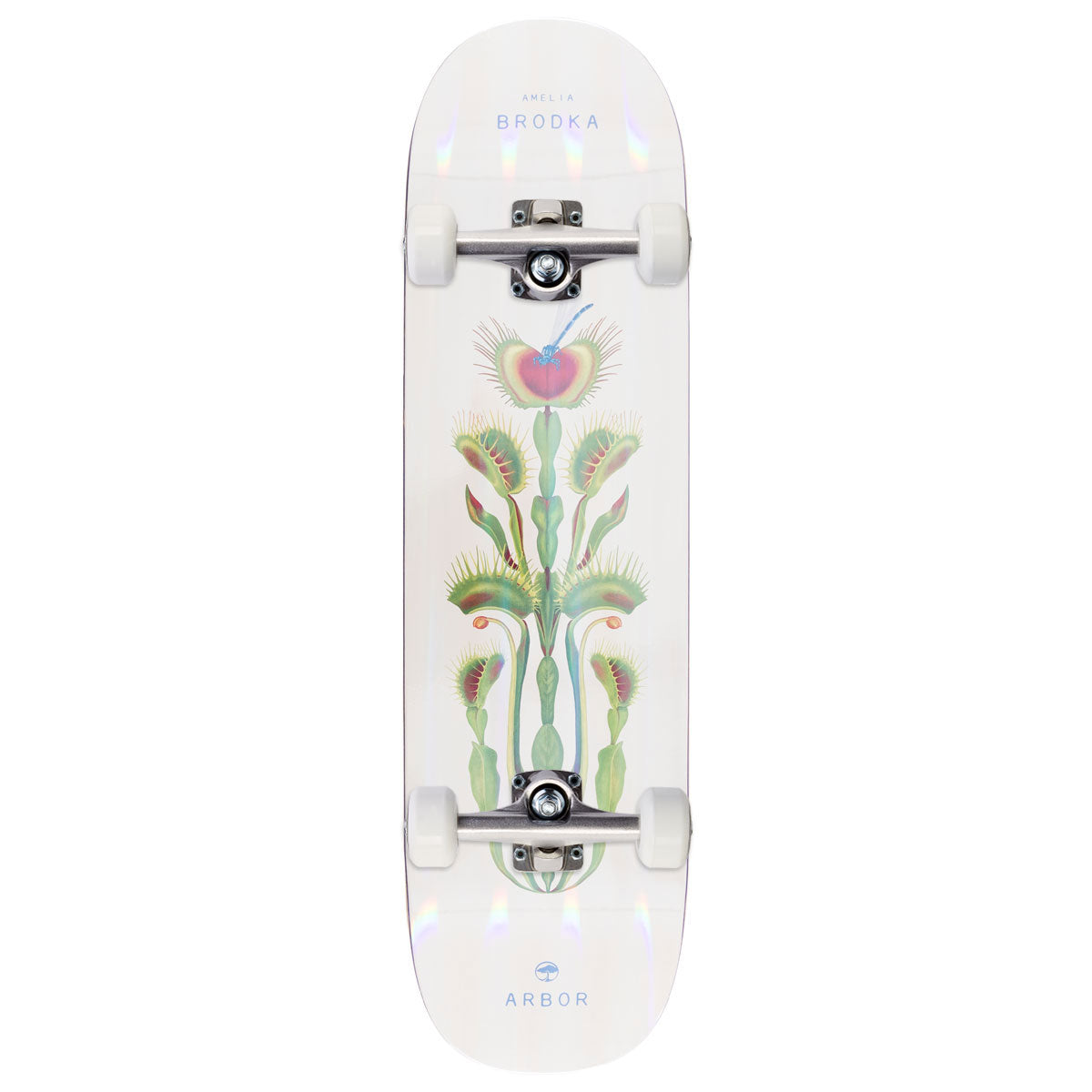 Arbor Amelia Brodka Venus Skateboard Complete - 8.50