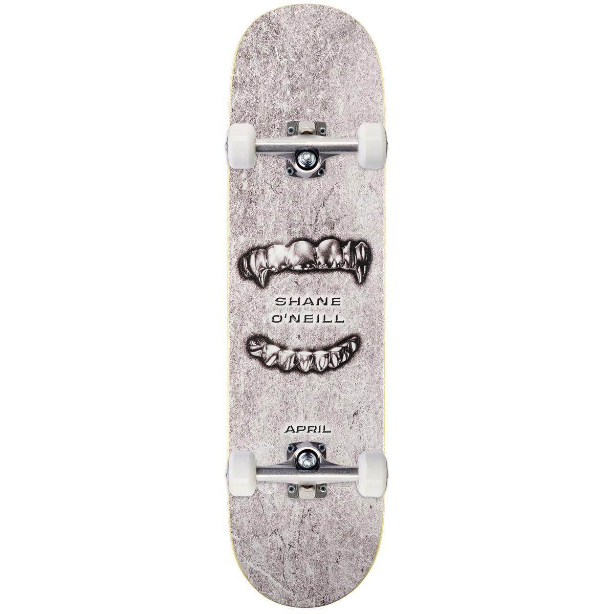 April Shane O'neill Grills Skateboard Complete - 8.25