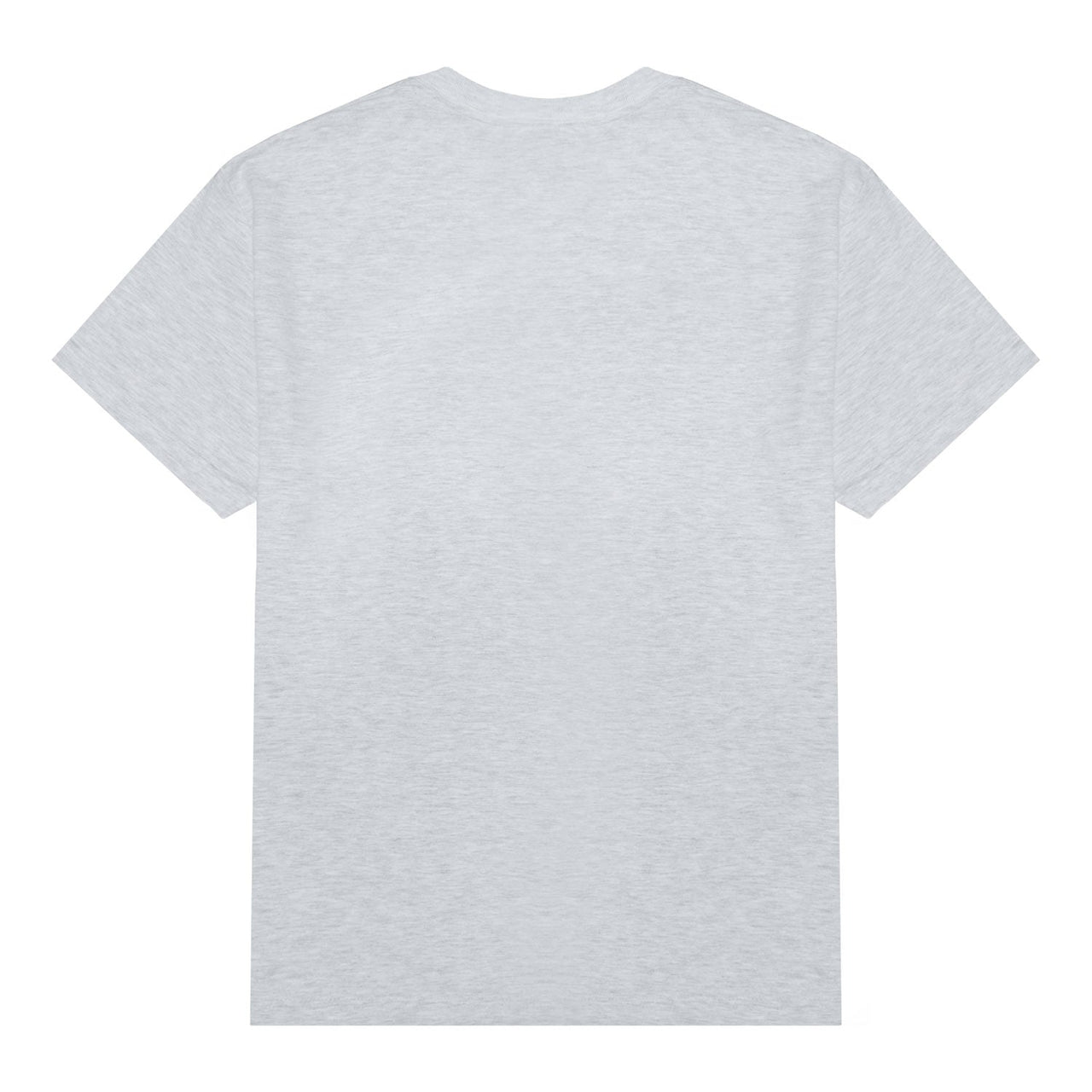 Alien Workshop Scanner T-Shirt - Ash image 3