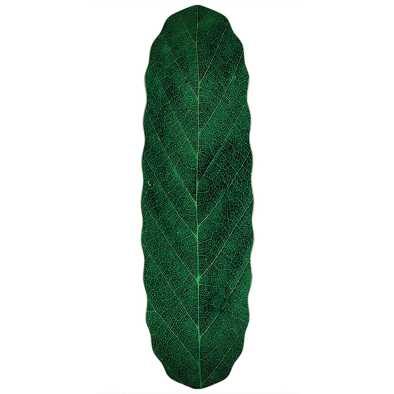 Habitat Leafline Egg Skateboard Deck - Green - 9.00