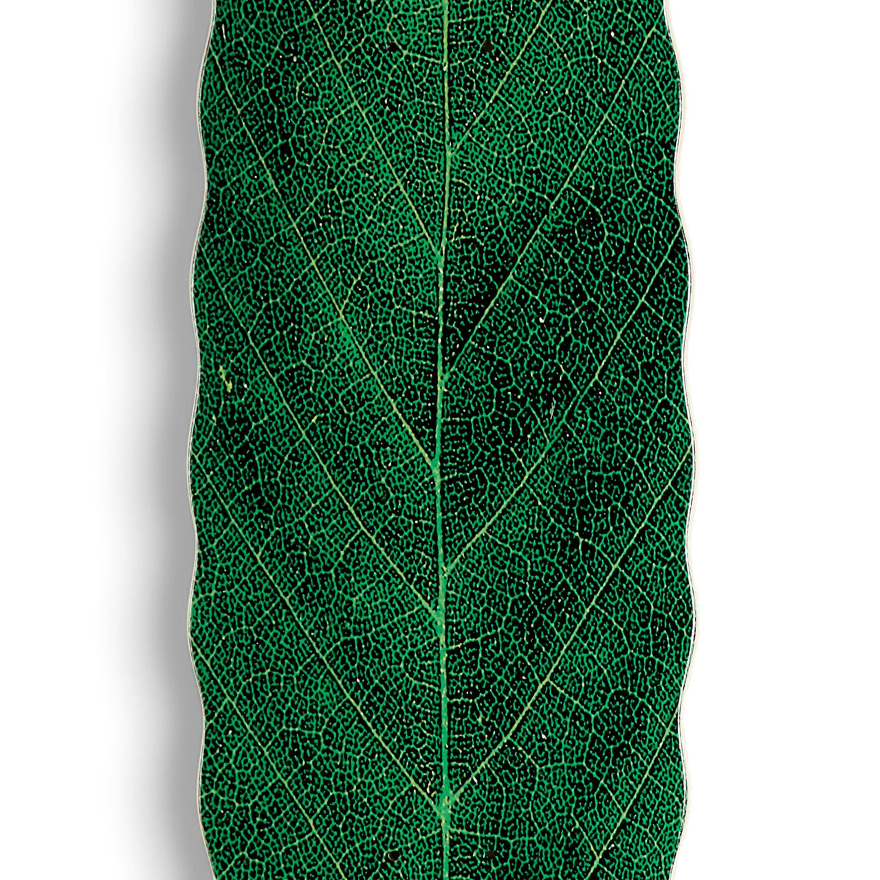 Habitat Leafline Egg Skateboard Deck - Green - 9.00