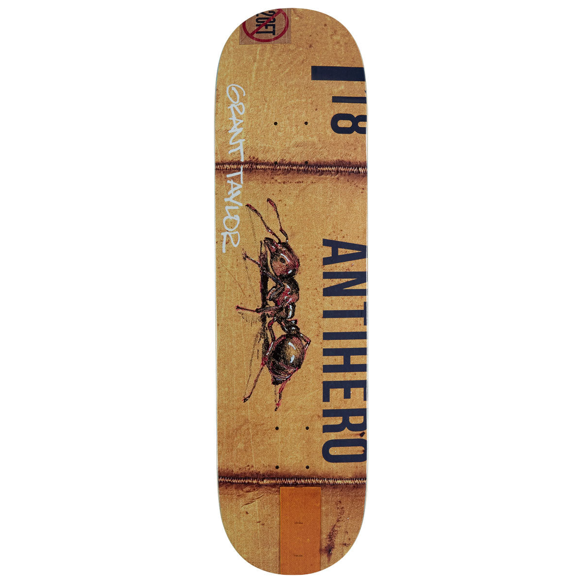 Anti-Hero Taylor Intermodal Skateboard Deck - 8.32
