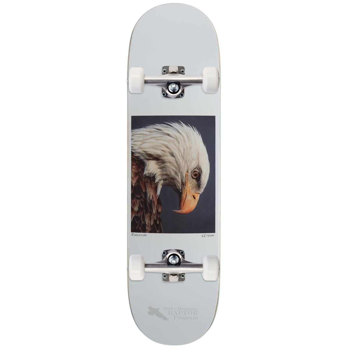 Zero Bald Eagle Burleigh Skateboard Complete - 8.50