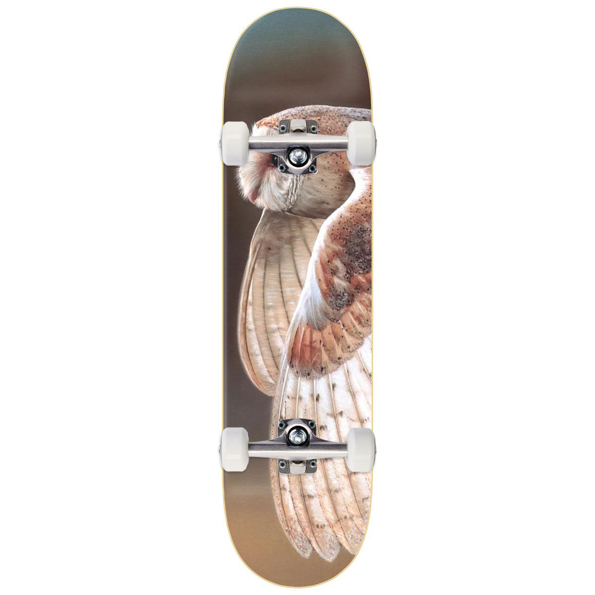 Zero Hess Owl LTD Skateboard Complete - 8.25