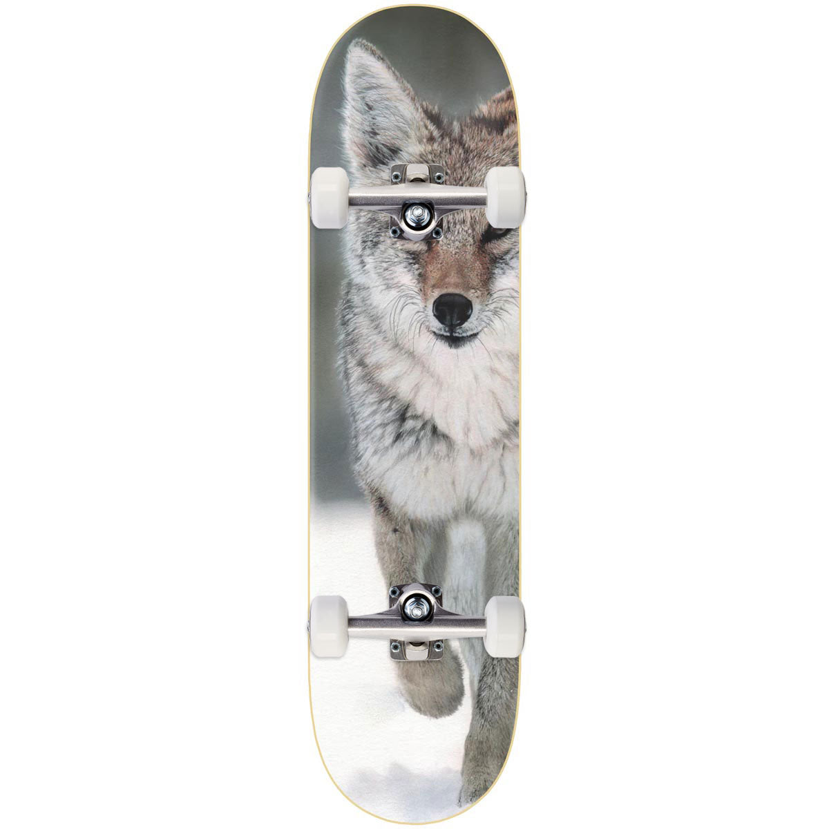 Zero Hess Coyote LTD Skateboard Complete - 8.25