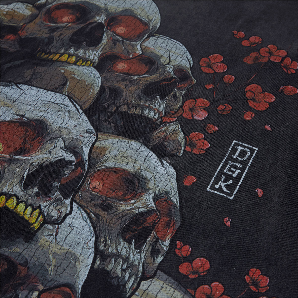 DGK Haunt Boxy Fit T-Shirt - Vintage Black image 2