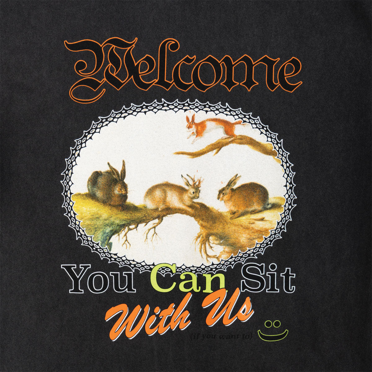 Welcome Friend T-Shirt - Vintage Black image 2