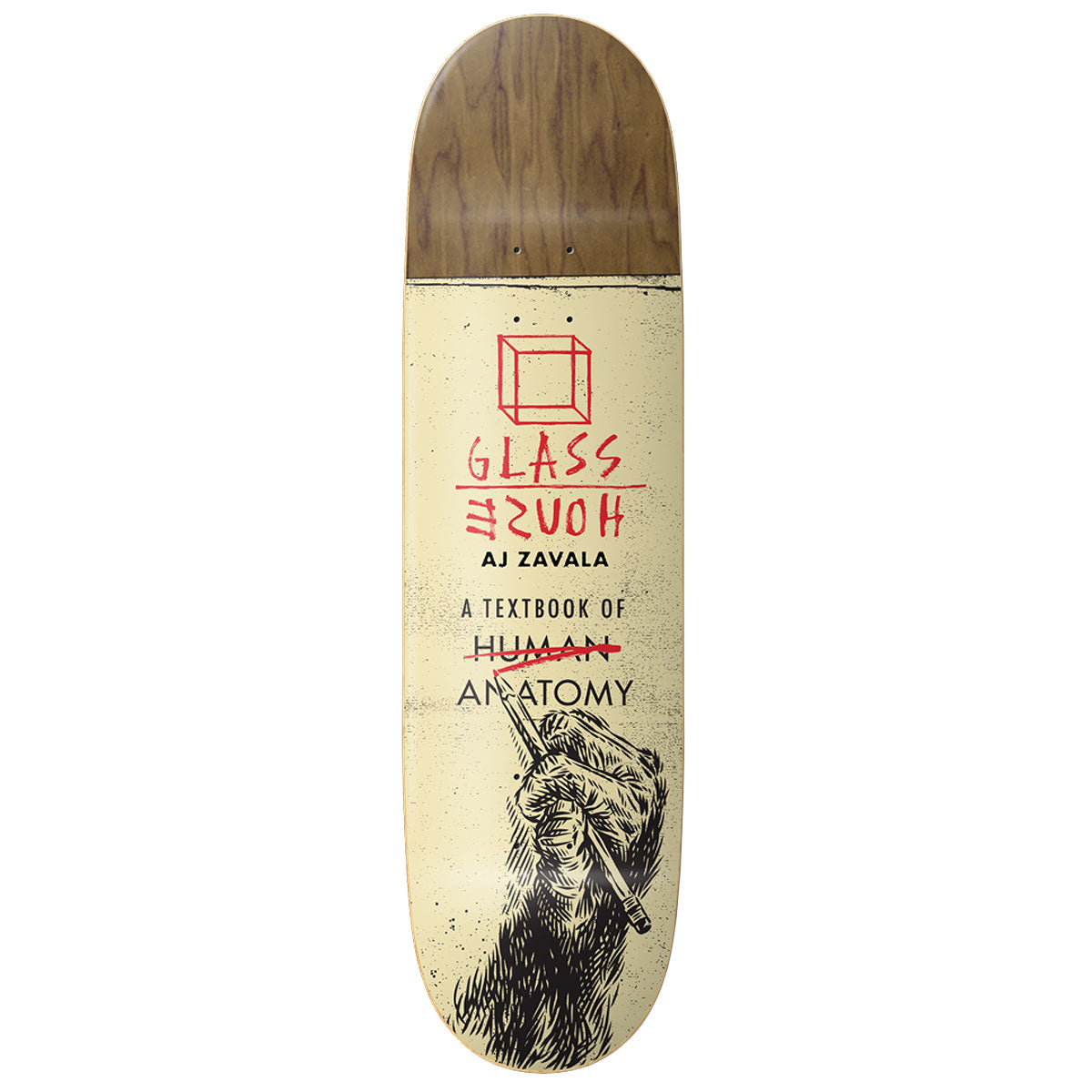 Glass House Zavala Anatomy Skateboard Deck - Assorted Veneers - 8.25