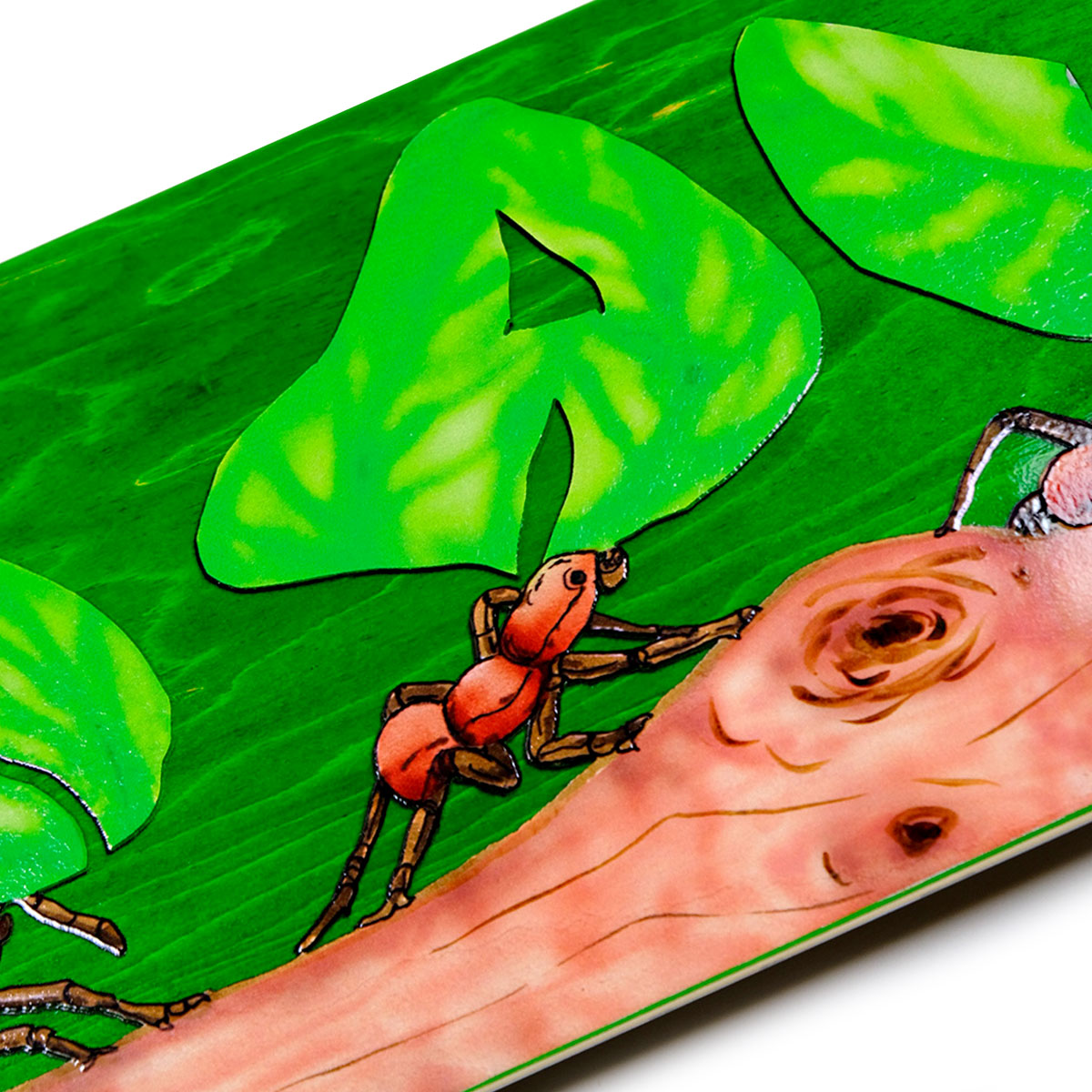 Snack Leafcutter Skateboard Complete - 8.50