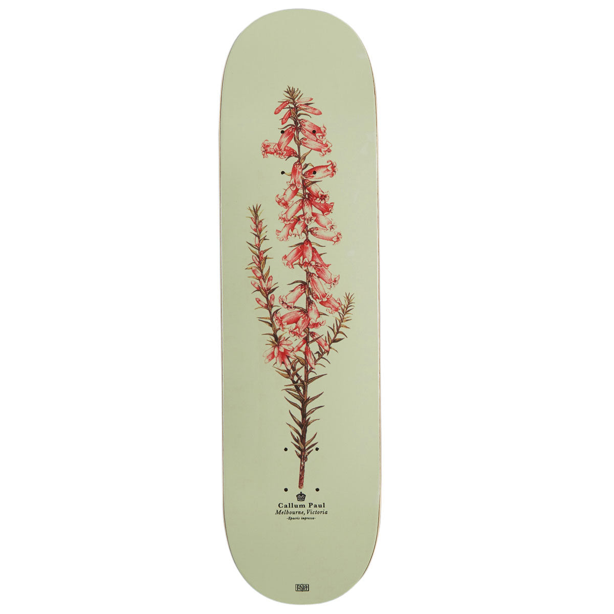 Passport Callum Pink Health Reissue Skateboard Deck - 8.25