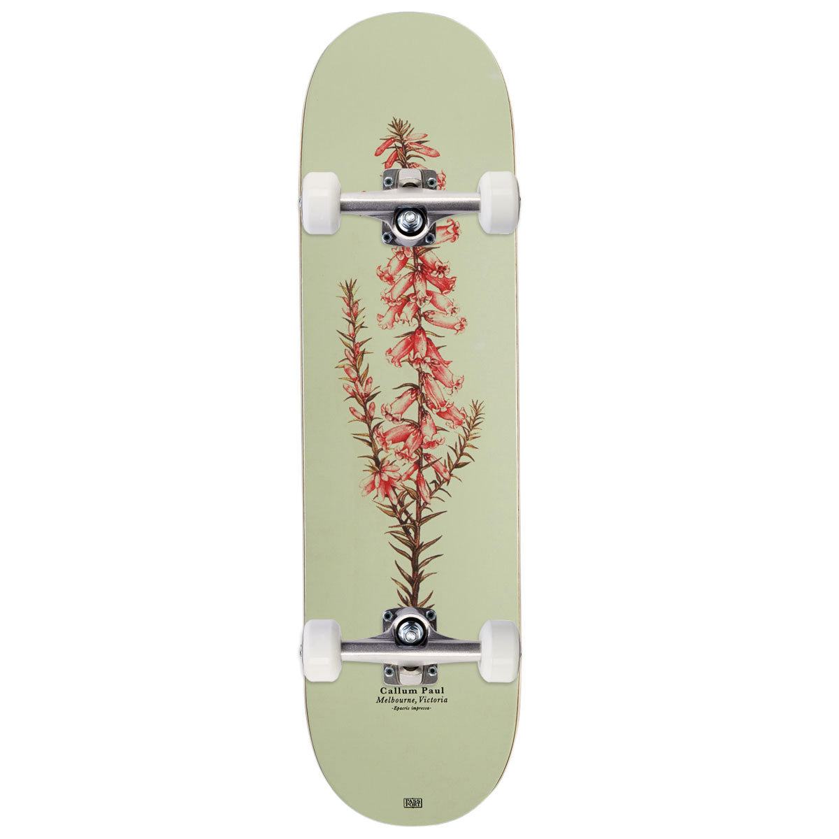 Passport Callum Pink Health Reissue Skateboard Complete - 8.25
