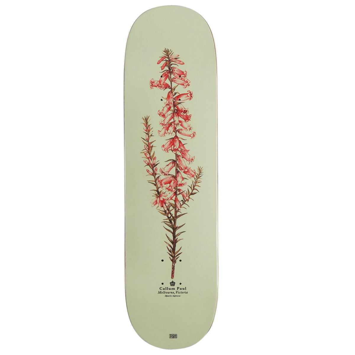 Passport Callum Pink Health Reissue Skateboard Deck - 8.50