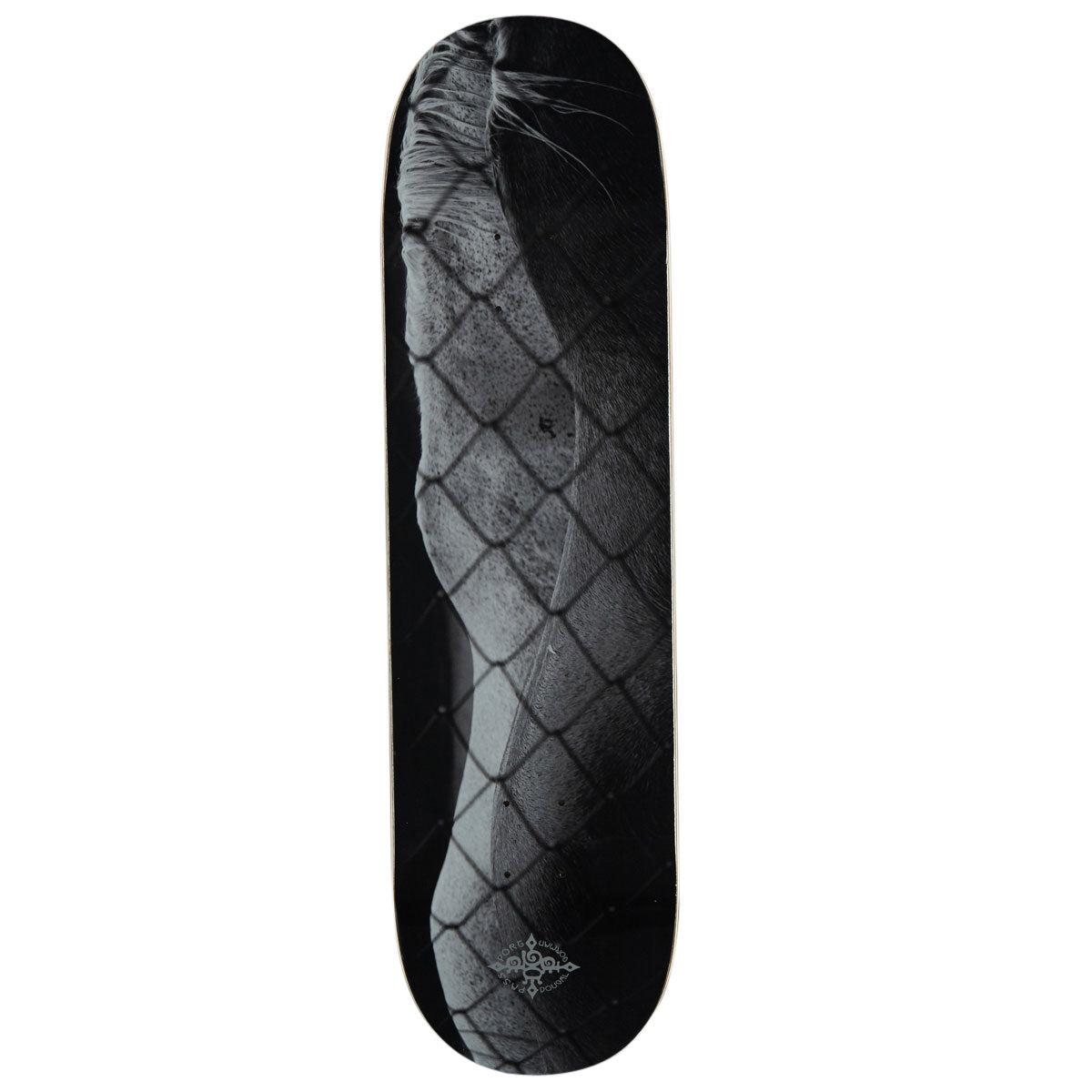 Passport D.G Series Steed Skateboard Deck - 8.50