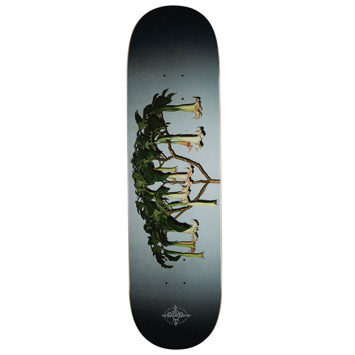 Passport D.G Series Angel Trumpets Skateboard Deck - 8.50
