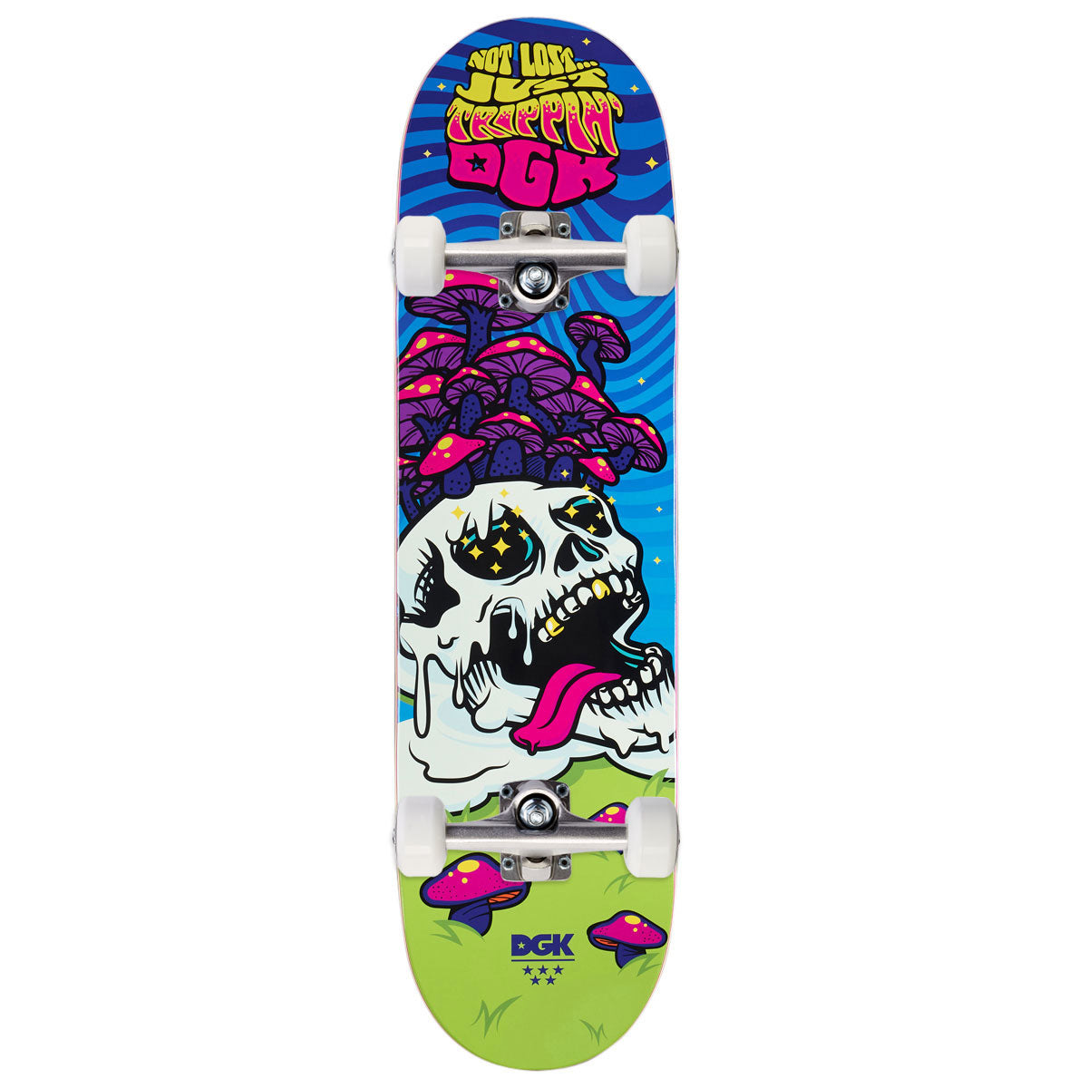 DGK Not Lost Skateboard Complete - Pearlescent - 8.50
