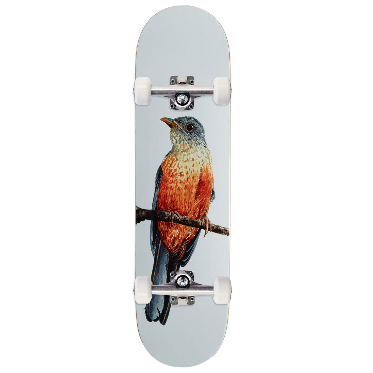 Deathwish Yuri Sabia-Laranjeira Facchini Skateboard Complete - 8.125